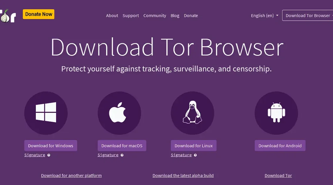 Is Tor Browser Safe: How to Use Tor Browser Safely?